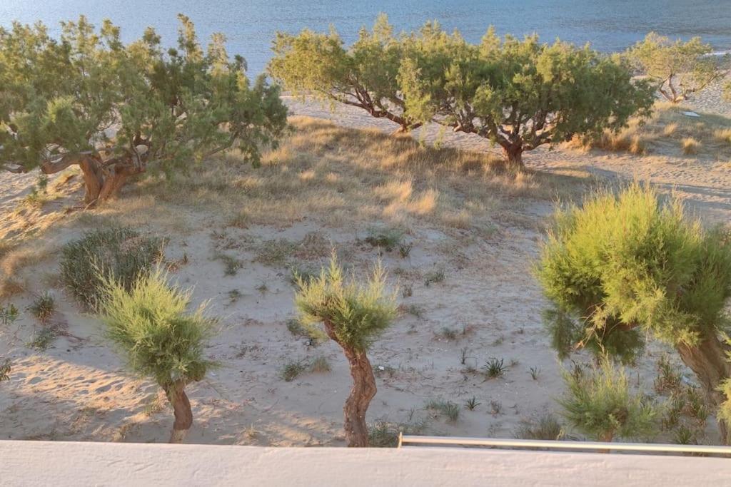 Aegean Dream House Villa Kamares  Bagian luar foto